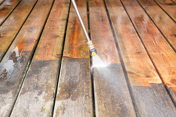 Best Affordable Pressure Washing  in Cambridge, IL